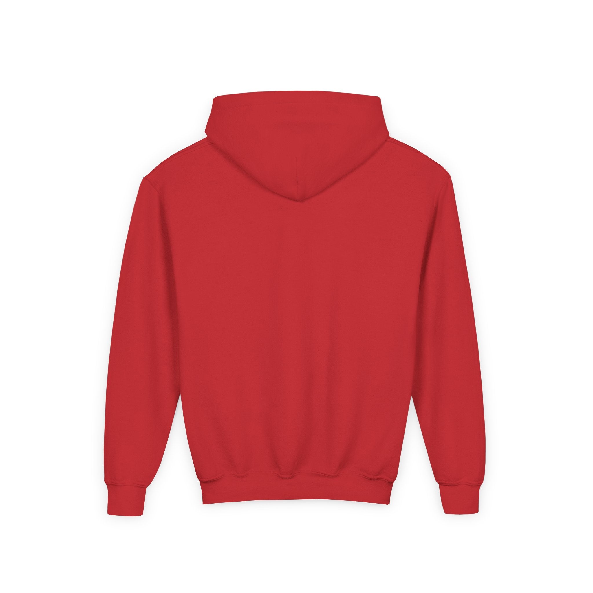 Festive Youth Hooded Sweatshirt with Santa Stitch Design, Holiday Sweatshirt, Christmas Gift, Kids Hoodie, Cute Winter Apparel, [...]